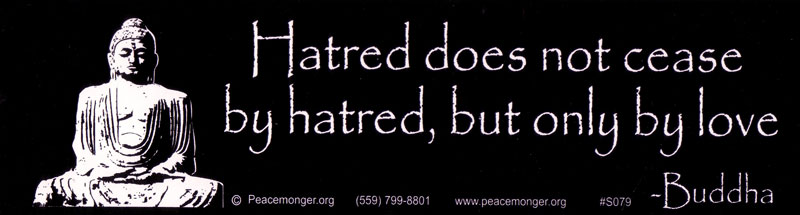 Quotes All Peace Resource Project 8624