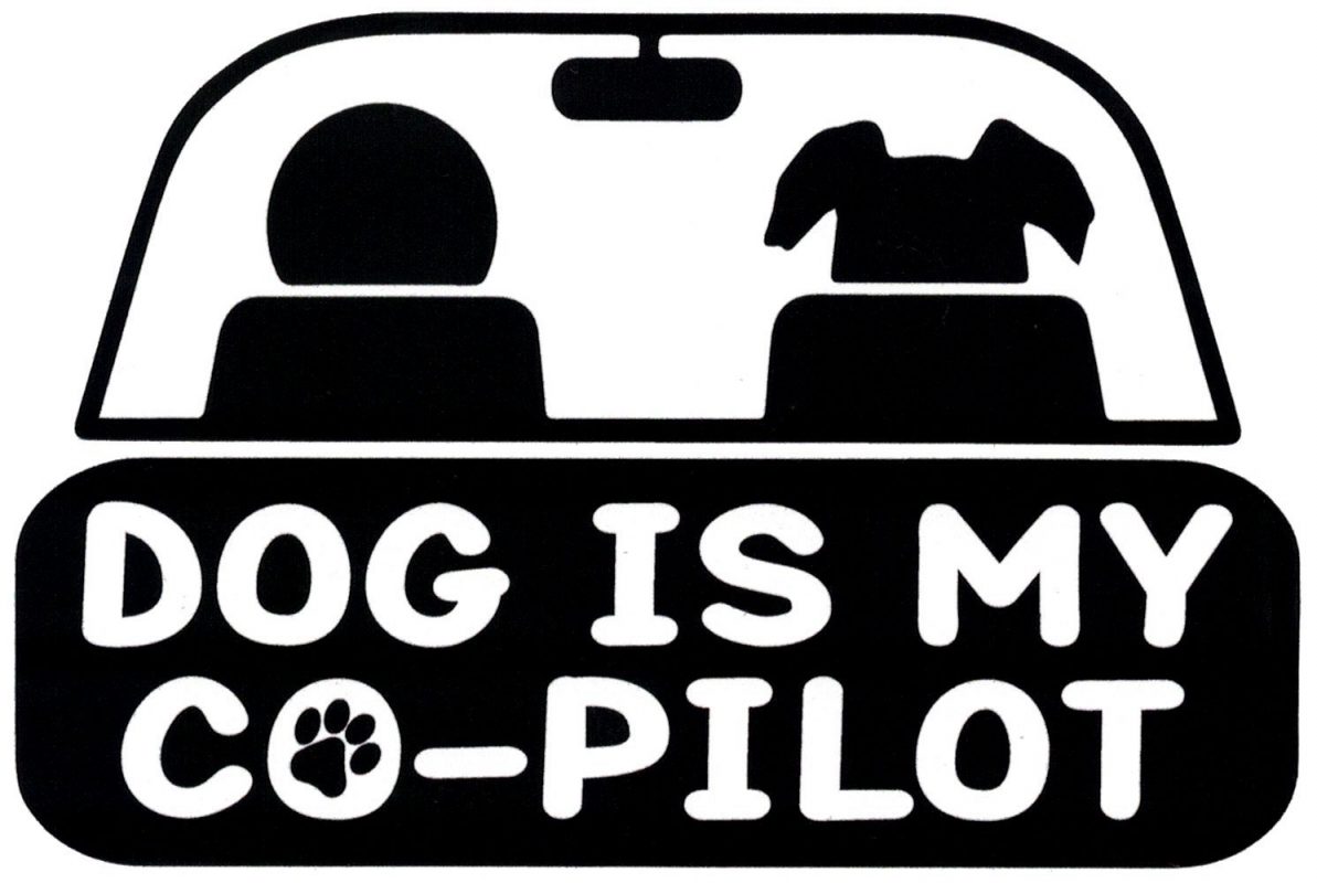 my dog is my copilot shirt