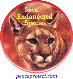 Save Endangered Species - Button / Pinback or Magnet (