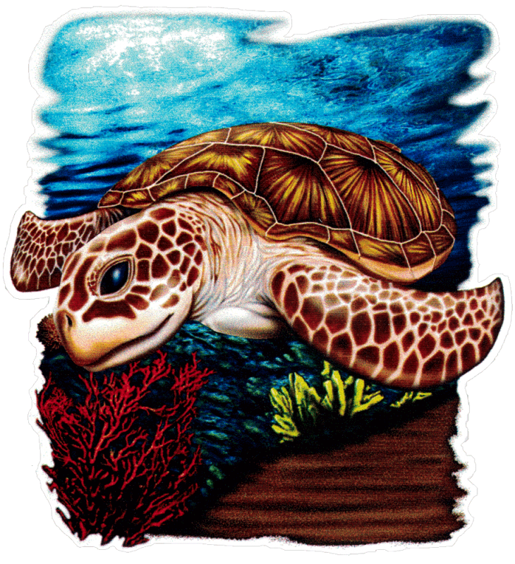 sea-turtle-in-the-coral-bumper-sticker-decal-peace-resource-project