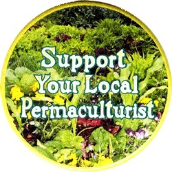 Permaculture & Sustainability