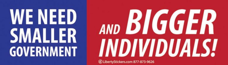 we-need-smaller-government-and-bigger-individuals-bumper-sticker